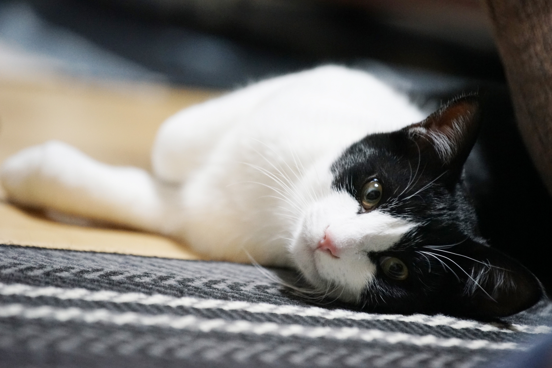 Why Japanese Characters Feel Lonely